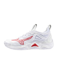 Mizuno Wave Momentum 3